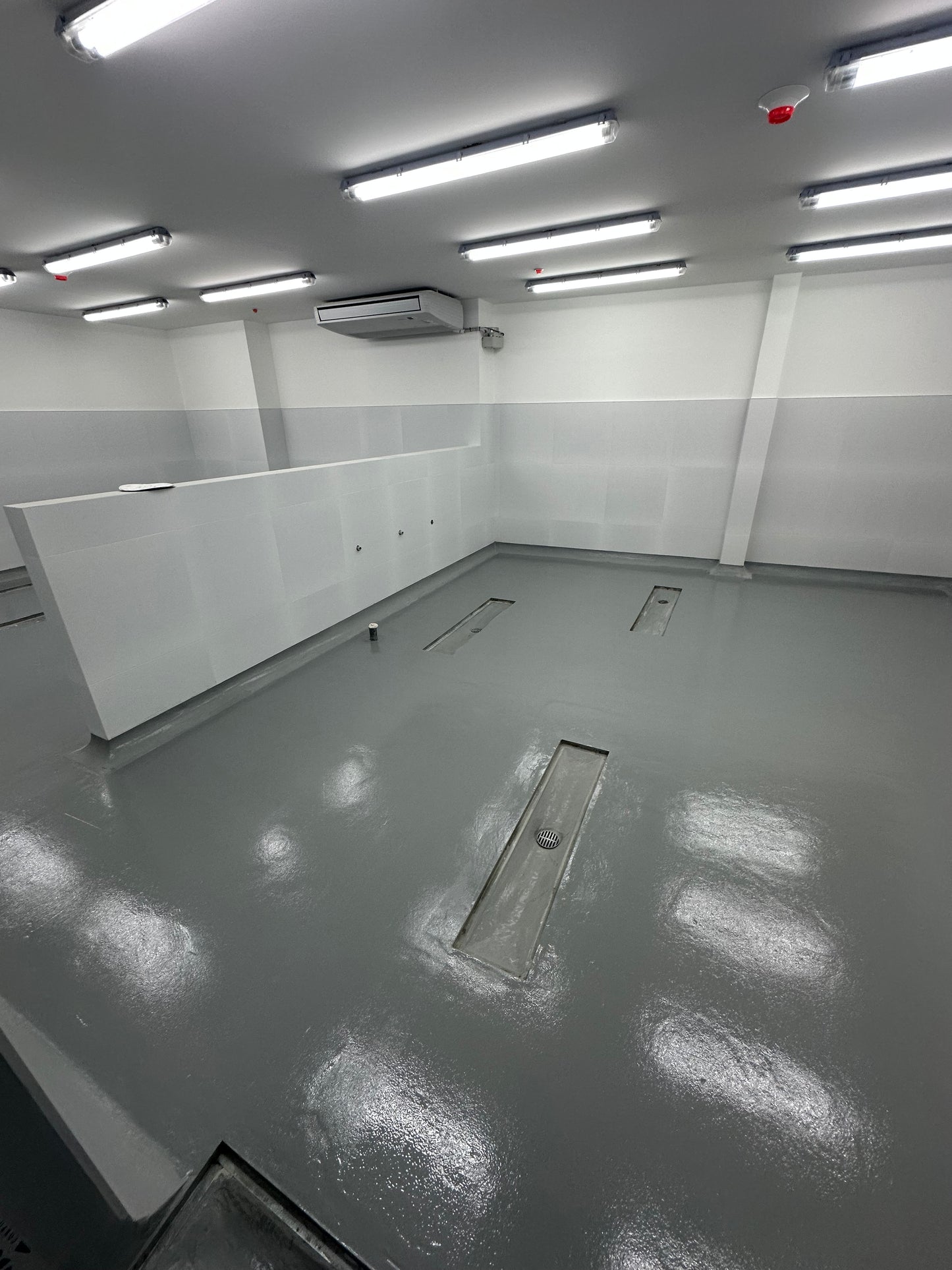 APLICACIÓN DE PINTURA EPÓXICA PARA AREA DE USO DE COCINA, TOPITOP SJL