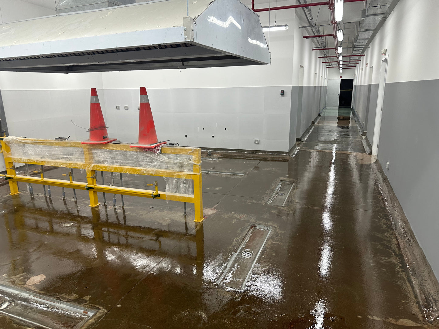 APLICACIÓN DE PINTURA EPÓXICA PARA AREA DE USO DE COCINA, TOPITOP SJL